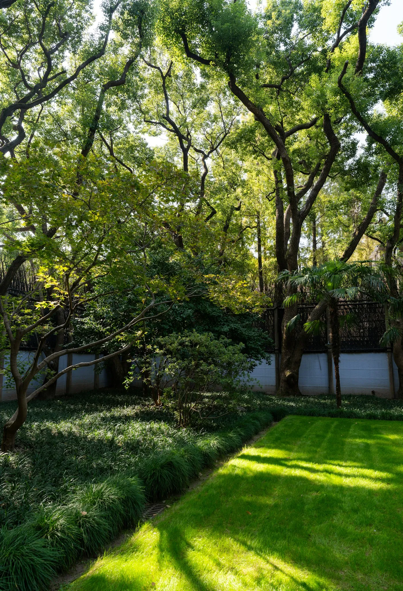 Lush green garden with mature trees and manicured lawn