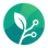 PageBranch